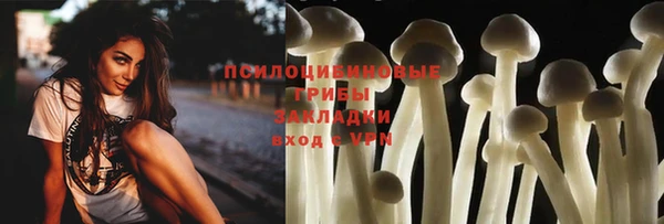a pvp Алексин