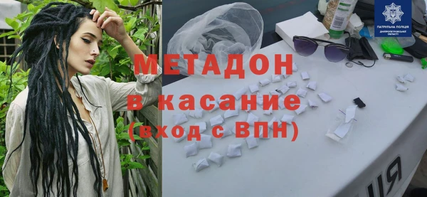 прущие грибы Абаза