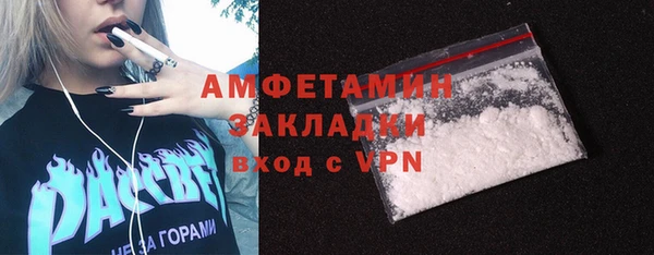 прущие грибы Абаза