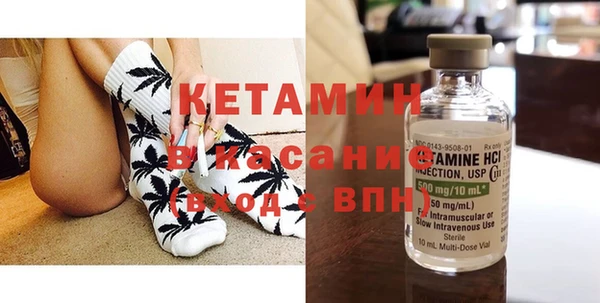 прущие грибы Абаза