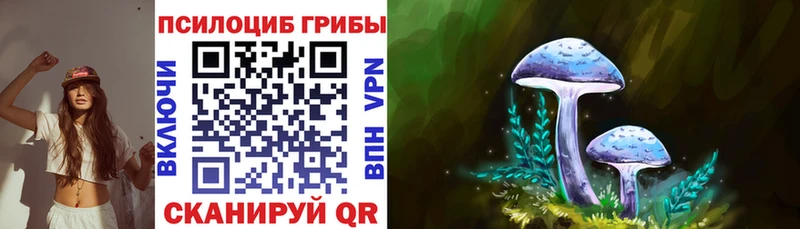 Псилоцибиновые грибы мицелий KRAKEN вход Лодейное Поле