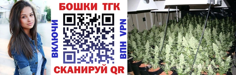 нарко площадка наркотические препараты  Лодейное Поле  Бошки марихуана конопля 